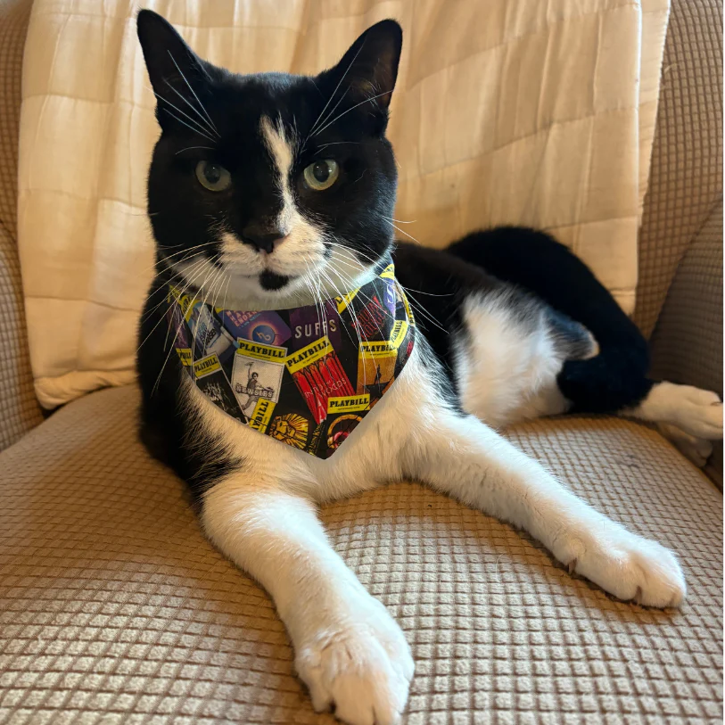 Playbill Cat Bandana - Choose a Pattern - Image 4