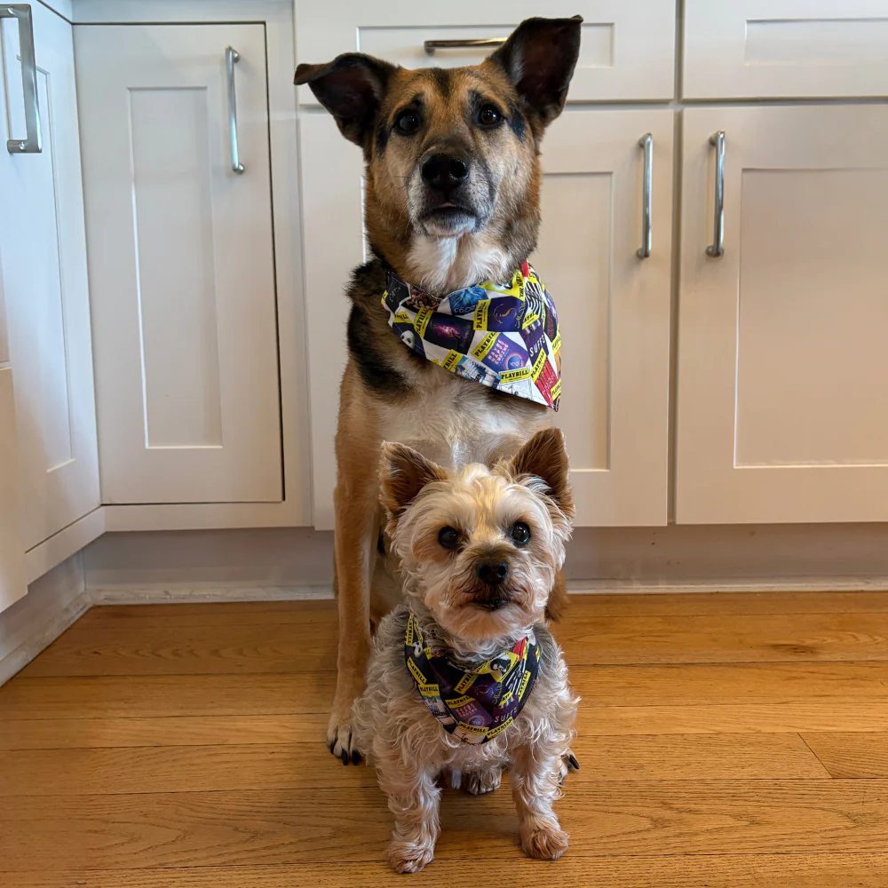 Playbill Pet Bandana - Image 11