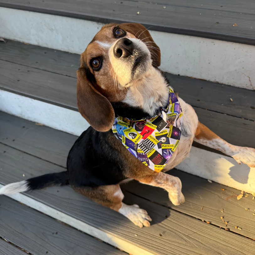 Playbill Pet Bandana - Image 13