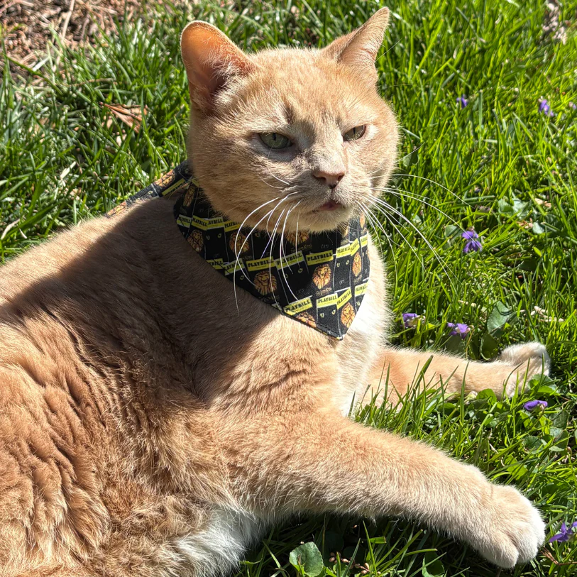 Playbill Pet Bandana - Image 8